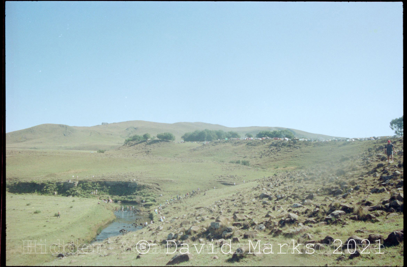 hy_dm_negs_60_A_76c_5.jpg