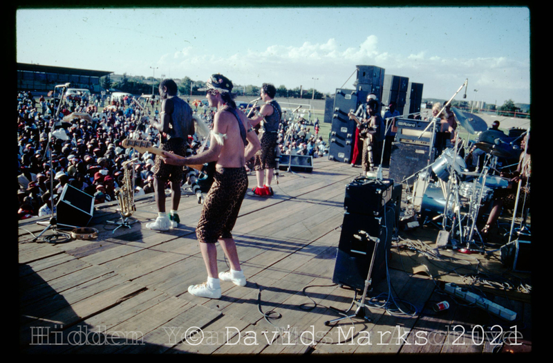 hy_dm_negs_82_A_1_2.jpg