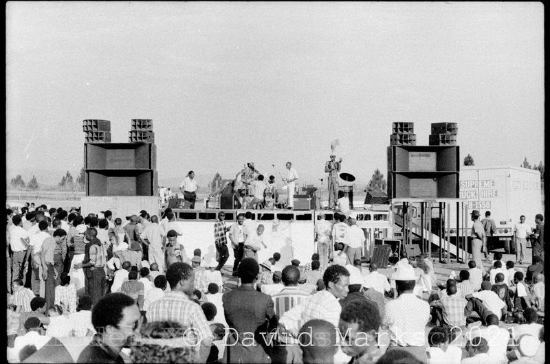hy_dm_negs_60_53a_4.jpg