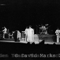 hy_dm_negs_82_T_2a_9.jpg
