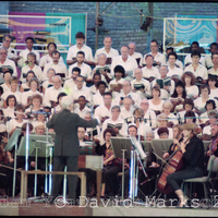 hy_dm_negs_60_61b_4.jpg
