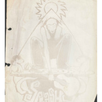 hy-dm-cover-splashy-fen-001.pdf