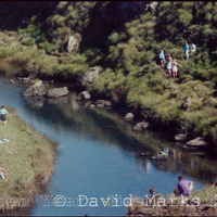 hy_dm_negs_60_A_76c_3.jpg