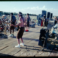 hy_dm_negs_82_A_1_2.jpg