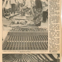hy-dm-splashy-fen-1992-001.pdf
