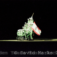 hy_dm_negs_60_70b_11.jpg
